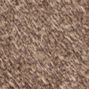 Frazer - Image 9