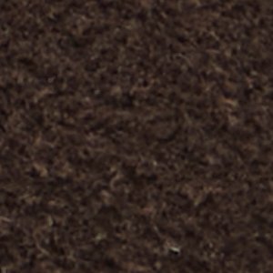 Barkley - Image 9