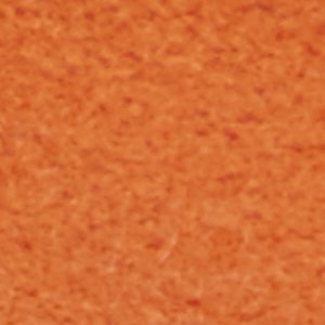 Skipp - Image 7