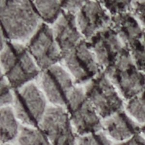 Smolder - Image 8