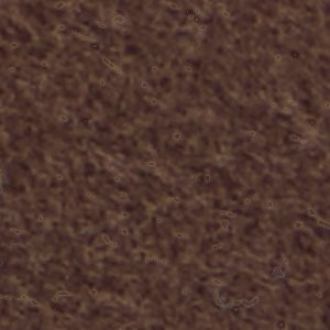 Doriana - Image 7