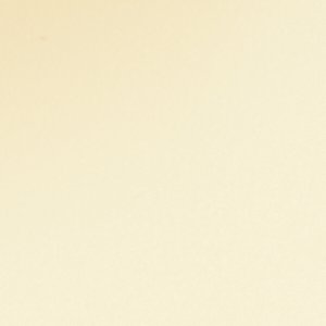 Calypsaa - Image 7