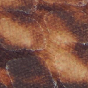 Esmara - Image 3