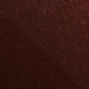 Stessywedge - Image 7