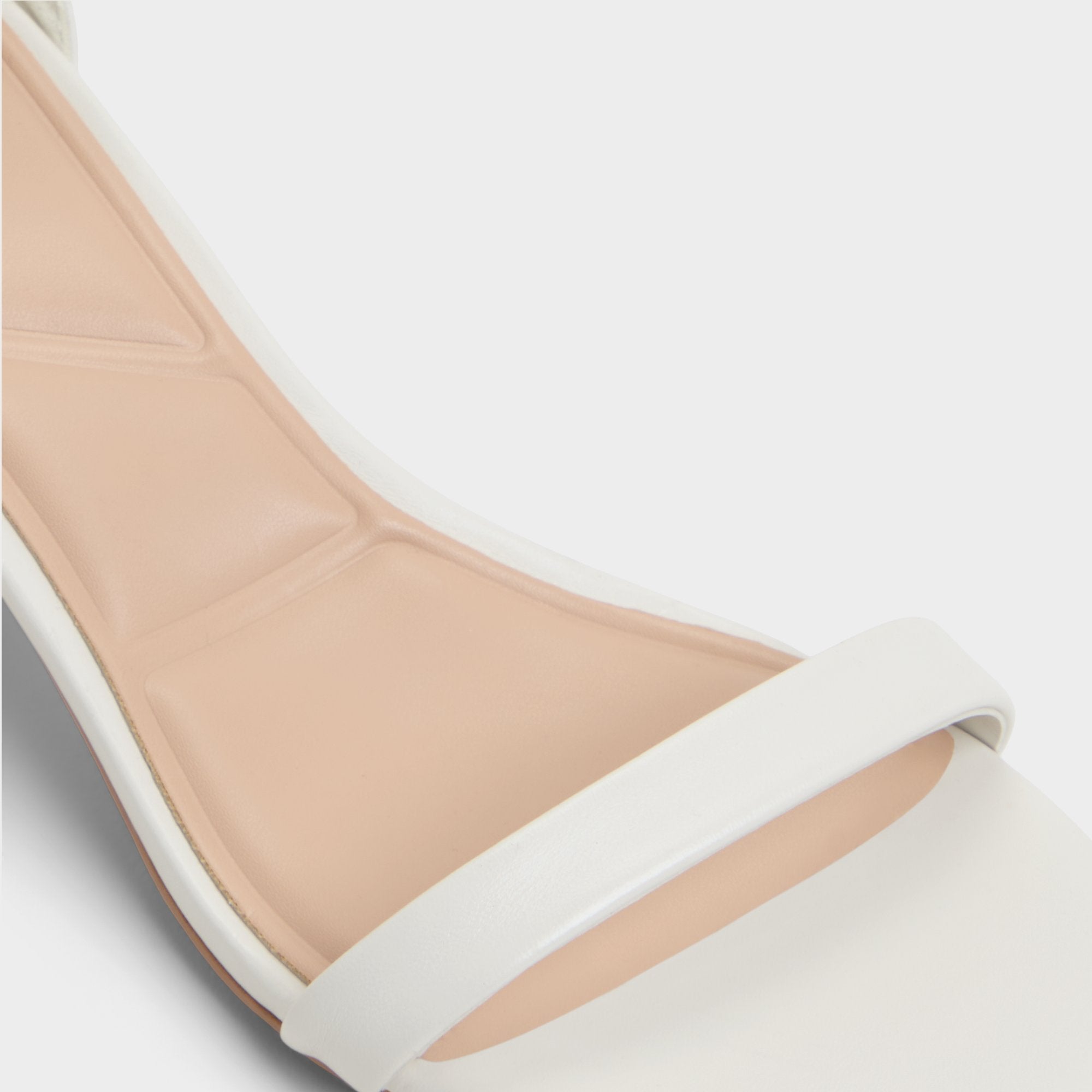 Calliope - Image 7