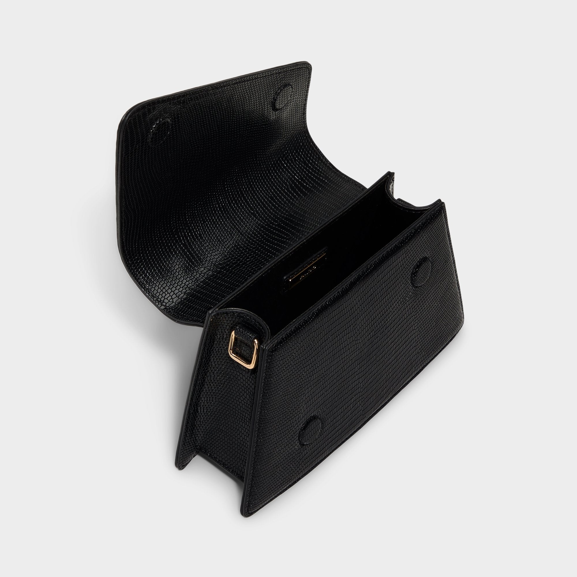 Aellaax - Image 3