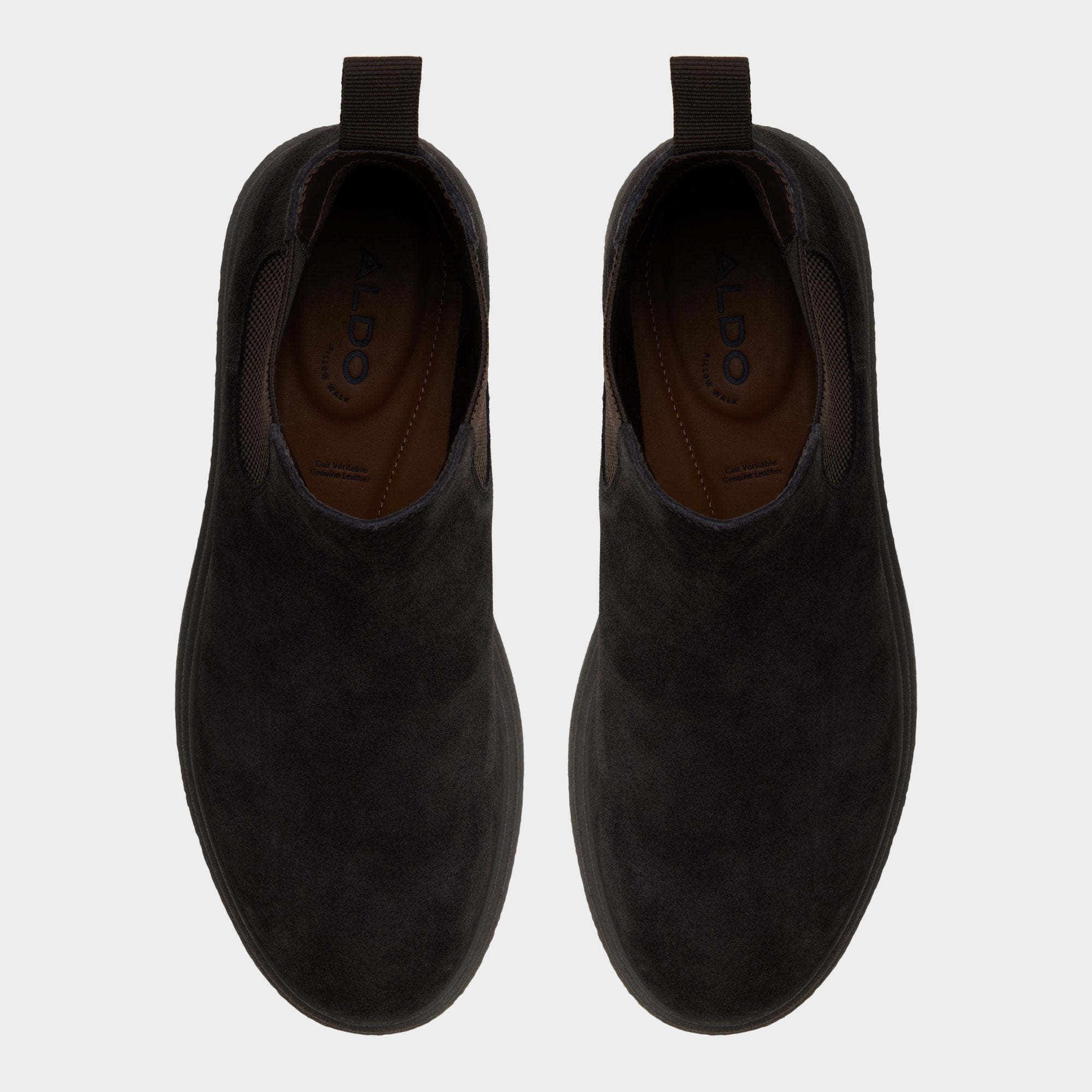 Zeddy - Image 6