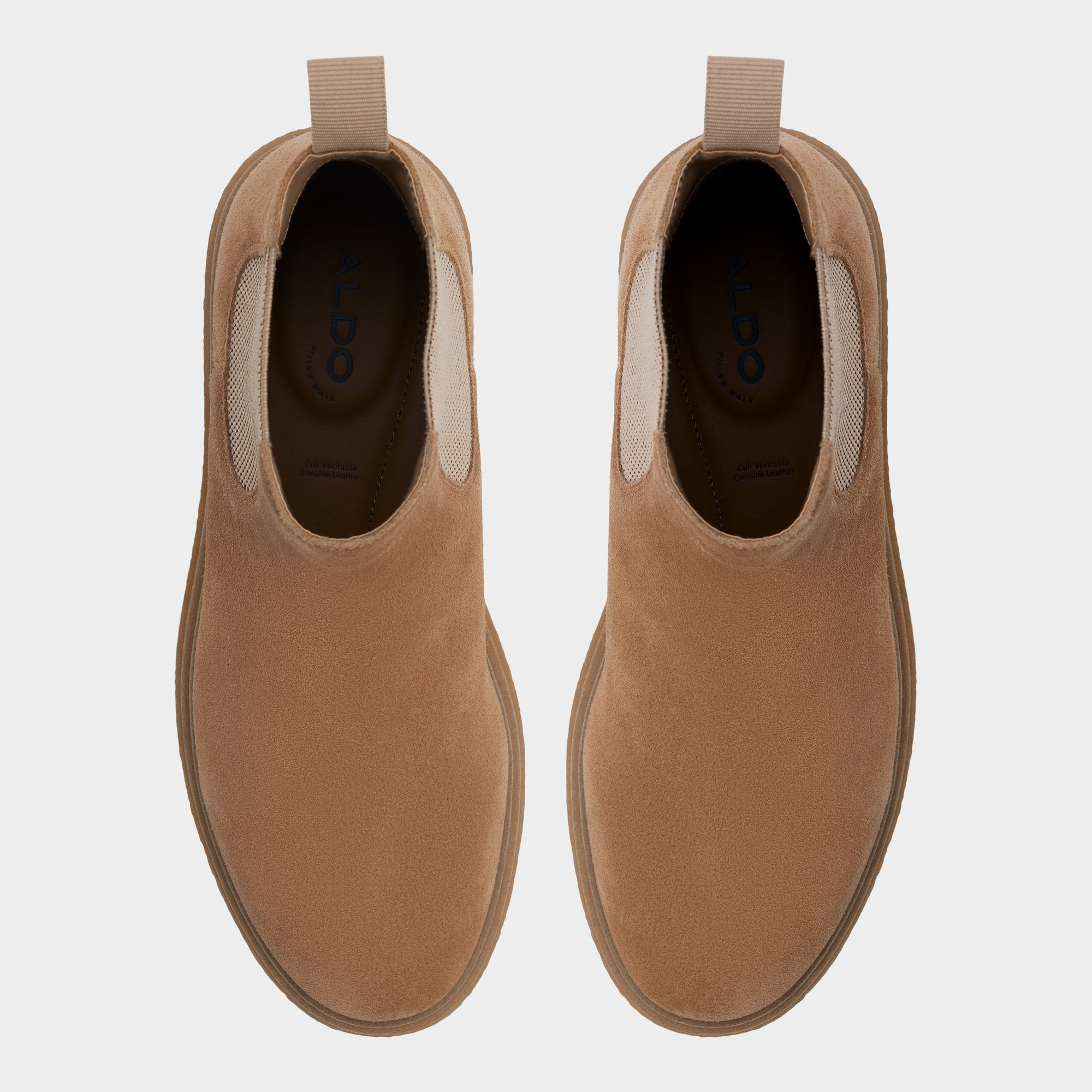 Zeddy - Image 6