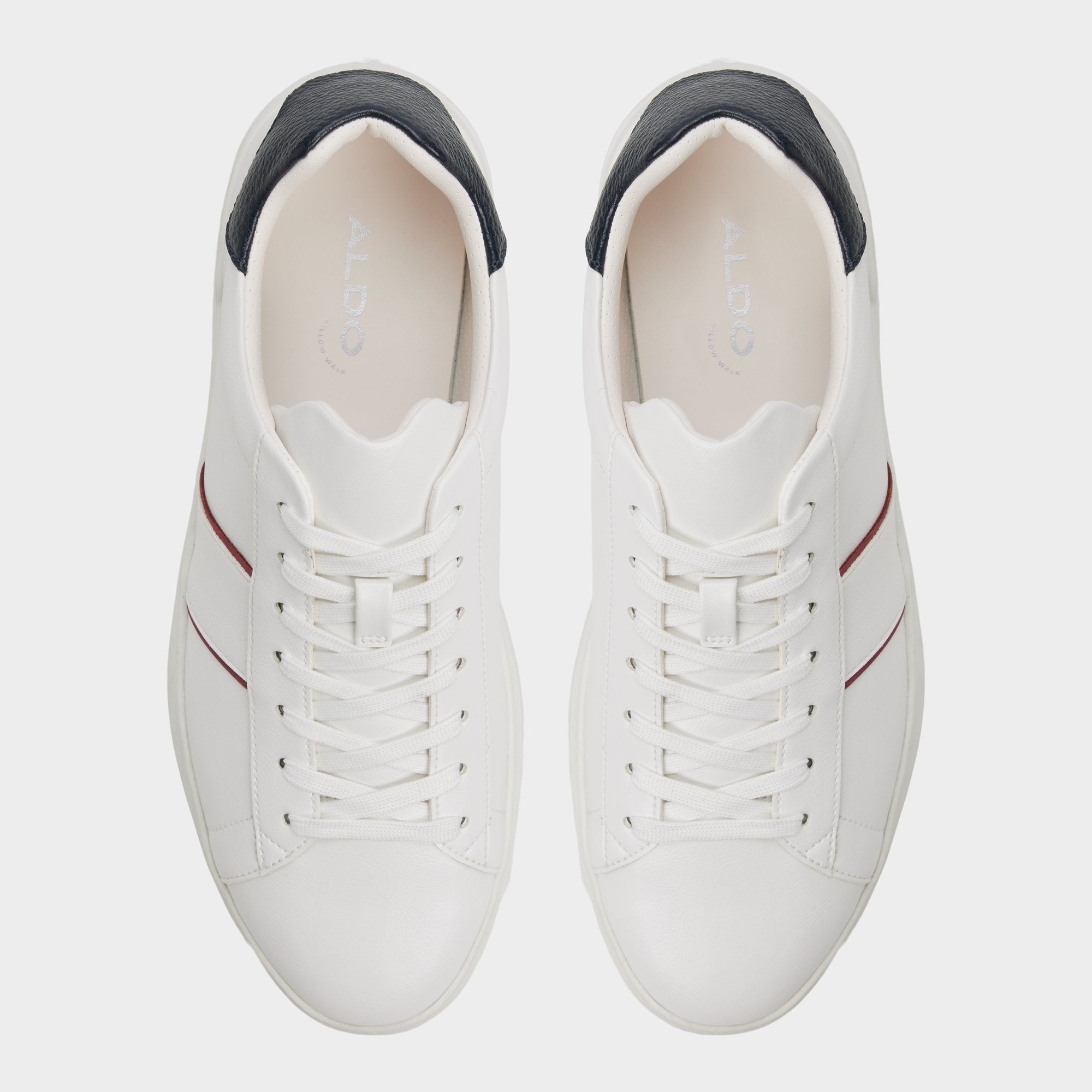 Paxon - Image 6