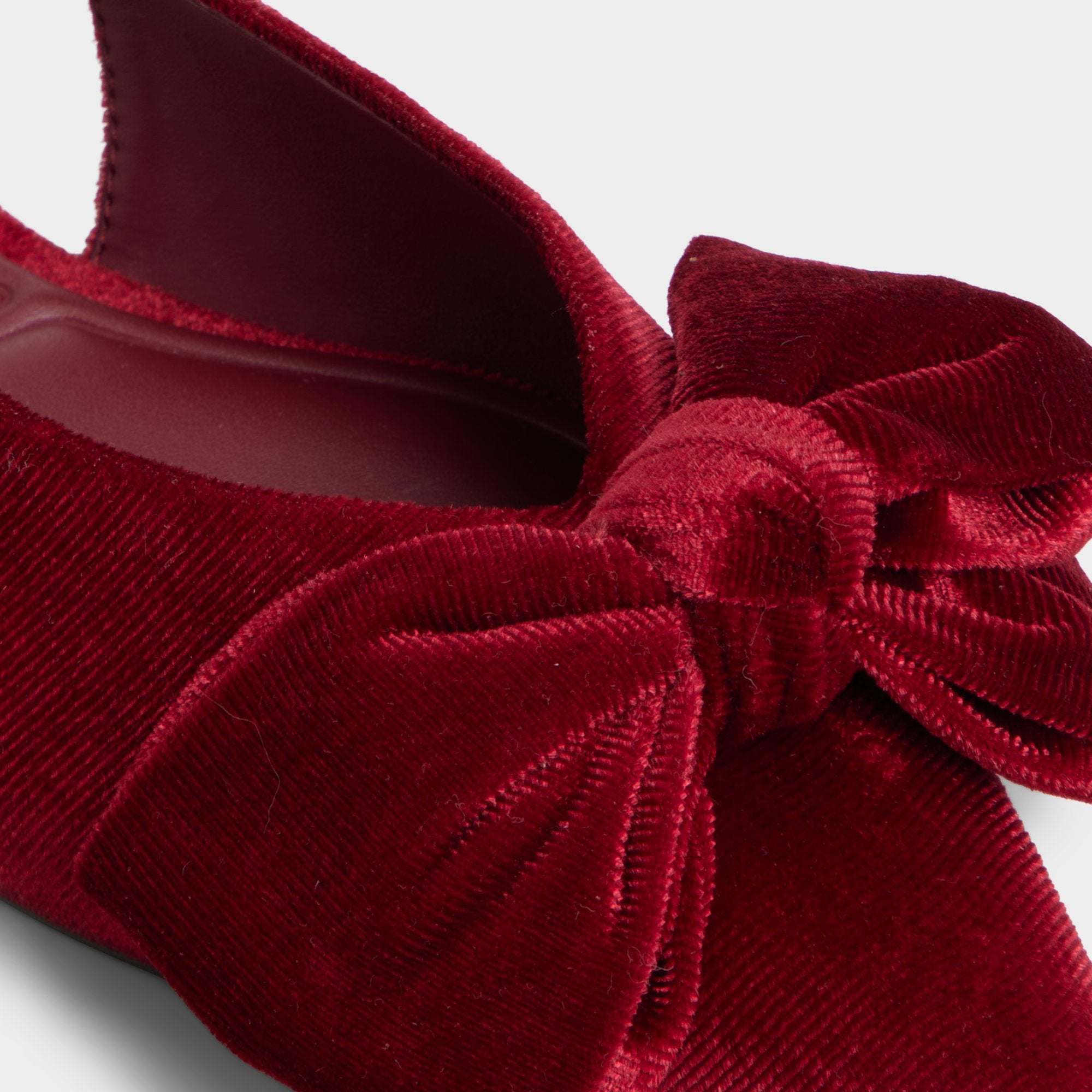 Festive - Image 7