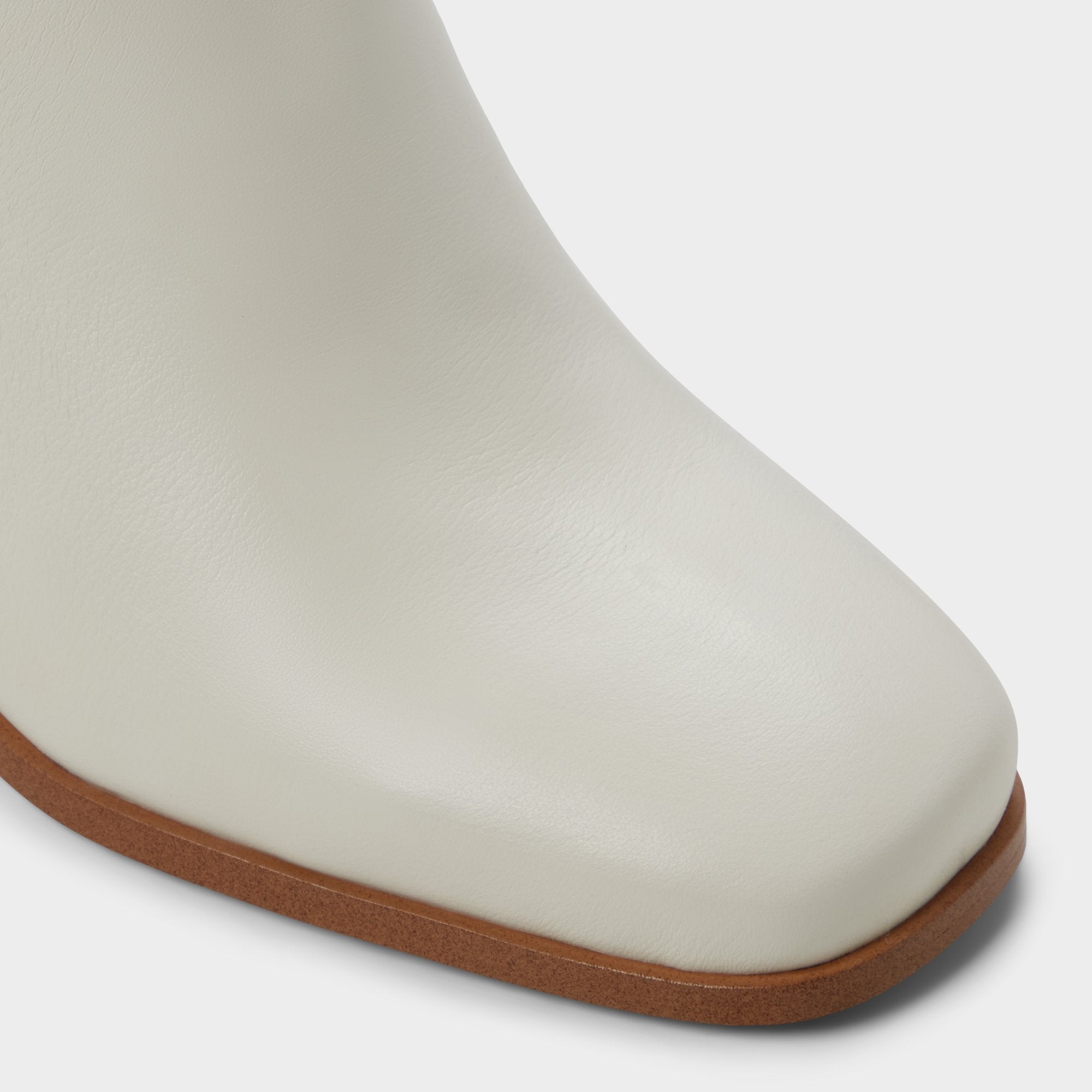 Elyze - Image 5